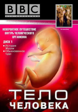 BBC: Тело человека (сериал 1998)